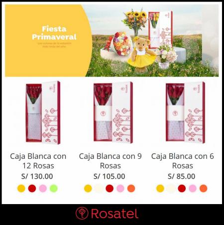 Catálogo Rosatel | Fiesta primaveral | 25/10/2022 - 28/11/2022