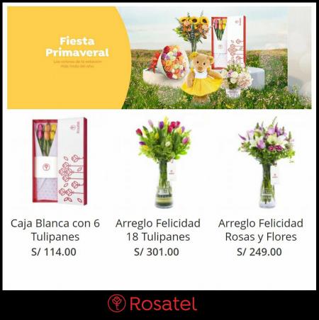 Catálogo Rosatel | Fiesta primaveral | 25/10/2022 - 28/11/2022