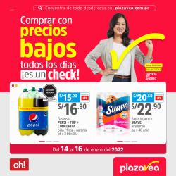 Ofertas de Supermercados en el catálogo de Plaza Vea ( Vence hoy)