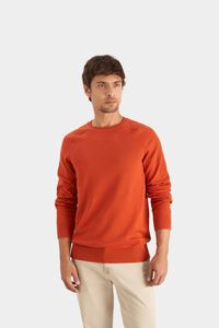 Oferta de Sweater tejido en algodón para hombre manga ranglan por S/ 209,3 en Vélez